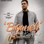 دانلود آهنگ جدید محمد رنجبر به نام بیگانه