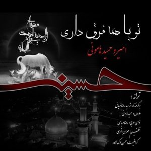 دانلود آهنگ جدید امیر هامونی و حمید هامونی به نام تو با همه فرق داری