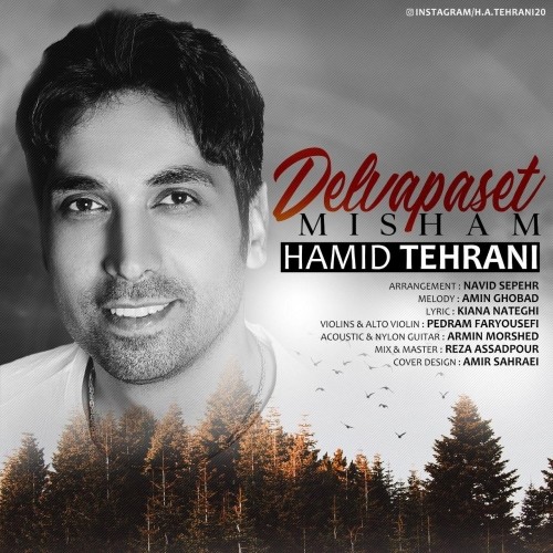 دانلود آهنگ جدید حمید تهرانی به نام دلواپست میشم دانلود آهنگ جدید حمید تهرانی به نام دلواپست میشم