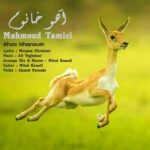 دانلود آهنگ جدید محمود تمیزی به نام آهو خانوم