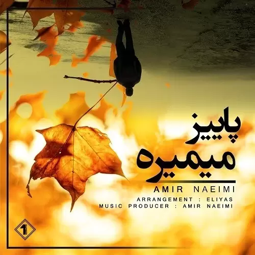 دانلود آهنگ جدید امیر نعیمی به نام پاییزه میمیره