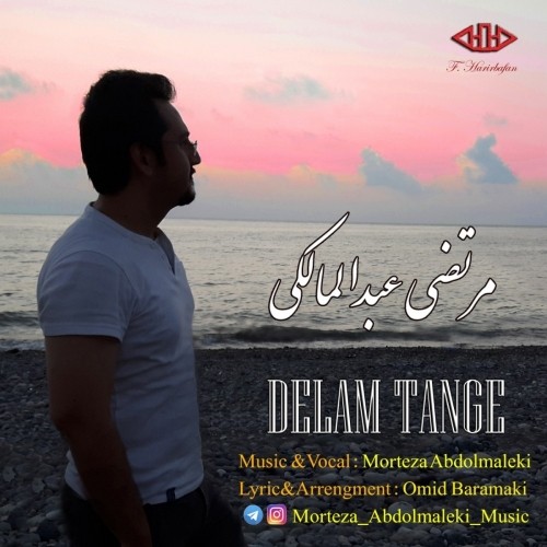دانلود آهنگ جدید مرتضی عبدالمالکی به نام دلم تنگه دانلود آهنگ جدید مرتضی عبدالمالکی به نام دلم تنگه