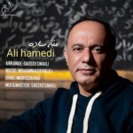 دانلود آهنگ جدید علی حامدی به نام منه ساده