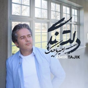 دانلود آهنگ جدید امیر تاجیک به نام دلتنگی