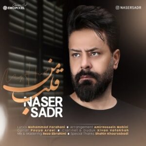 دانلود آهنگ جدید ناصر صدر به نام قلب من