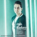 دانلود آهنگ جدید امیر رضا طلایی به نام عیبی نداره