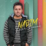 دانلود آهنگ جدید ندیم به نام کاشکی میموندی
