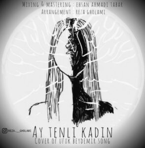 دانلود آهنگ جدید رضا غلامی به نام Ay Tenli Kadin
