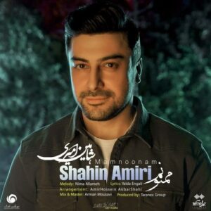 دانلود آهنگ جدید شاهین امیری به نام ممنونم