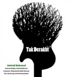 امیرعلی بهروزی