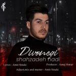 دانلود آهنگ جدید شاهزاده هادی به نام دیوونگی