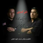 دانلود آهنگ جدید امیر چوپانی و فرهاد بیک محمد لو به نام دلو کندی
