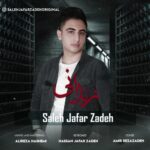 دانلود آهنگ جدید صالح جعفرزاده به نام زندونی