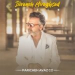 دانلود آهنگ جدید معین به نام دیوانه میرقصد (اورجینال)