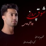 دانلود آهنگ جدید ابوالفضل طاووسی به نام شوق پرواز