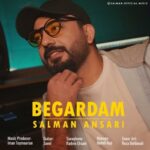 دانلود آهنگ جدید سلمان انصاری به نام بگردم