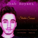دانلود آهنگ جدید شاهین صارمی به نام شب رویایی