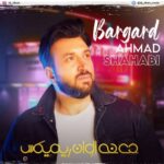 دانلود آهنگ جدید احمد شهابی به نام برگرد (دیجی الوان ریمیکس)