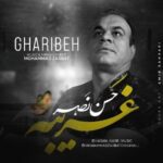 دانلود آهنگ جدید حسن نصر به نام غریبه