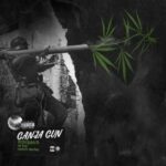 دانلود آهنگ جدید تی ام بکس با همراهی  Hedegaard و Captain Mackay به نام Ganja Gun