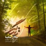 دانلود آهنگ جدید سالار شکیبا به نام زندگی