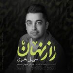 دانلود آهنگ جدید سهیل بحری به نام راز نهان