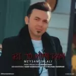 دانلود آهنگ جدید میثم جلالی به نام بی تو میمیرم