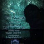 دانلود آهنگ جدید حامد محمدی به نام گل مرداب