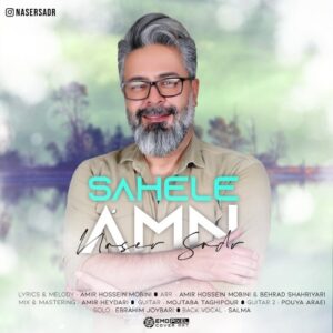 دانلود آهنگ جدید ناصر صدر به نام ساحل امن