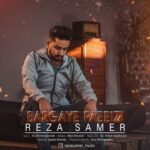 دانلود آهنگ جدید رضا ثامر به نام برگای پاییزی