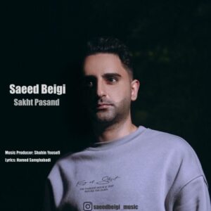 دانلود آهنگ جدید سعید بیگی به نام سخت پسند