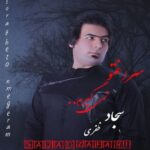دانلود آهنگ جدید سجاد ظفری به نام سراغتو نمی گیرم