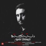 دانلود آهنگ جدید امیر شیرازی به نام دلتنگتم