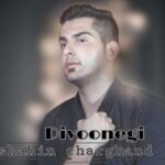دانلود آهنگ جدید شاهین چرغند به نام دیوونگی