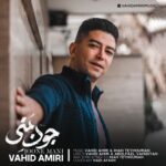دانلود آهنگ جدید وحید امیری به نام جون منی