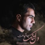 دانلود آهنگ جدید سجاد شجاعت به نام دل تنگ