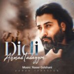 دانلود آهنگ جدید احمد تدین به نام دیدی
