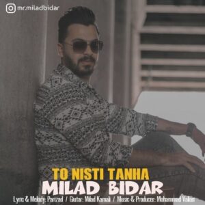 دانلود آهنگ جدید میلاد بیدار به نام تو نیستی تنها