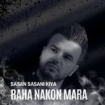 دانلود آهنگ جدید ساسان ساسانی کیا به نام رها نکن مرا