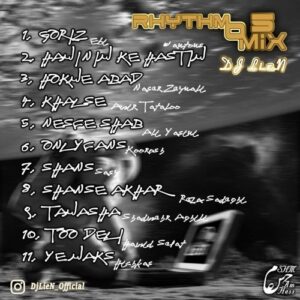 دانلود آهنگ جدید دی جی لین به نام ریتم و میکس ۵