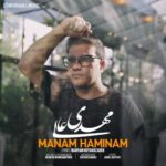 دانلود آهنگ جدید مهدی عالی به نام منم همینم