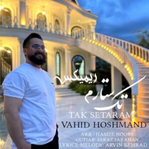دانلود آهنگ جدید وحید هوشمند به نام تک ستارم (ریمیکس)