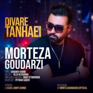 دانلود آهنگ جدید مرتضی گودرزی به نام دیوار تنهایی
