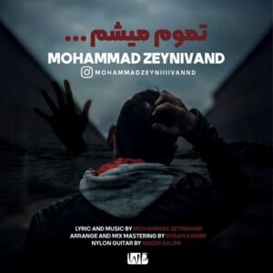 دانلود آهنگ جدید محمد زینی وند به نام تموم میشم (ورژن جدید)