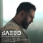دانلود آهنگ جدید سعید رهنمافر به نام دلتنگ