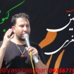 دانلود آهنگ جدید کربلایی یاسین اصغری به نام کبوتر