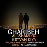 دانلود آهنگ جدید علی شاملو و کیوان کیا به نام غریبه