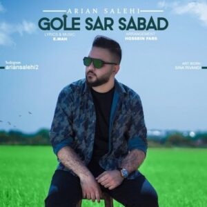دانلود آهنگ جدید آرین صالحی به نام گل سر سبد