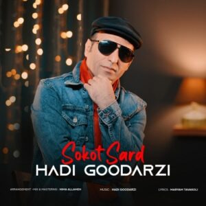 دانلود آهنگ جدید هادی گودرزی به نام سکوت سرد