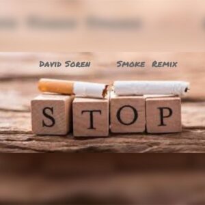 دانلود میکس جدید David Soren به نام Smoke Remix